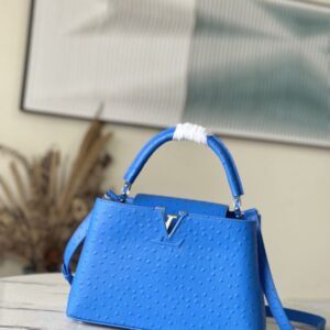 Louis Vuitton Medium-sized Capucines Ostrich Leather Handbag