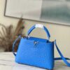 Louis Vuitton Small Capucines Ostrich Leather Handbag
