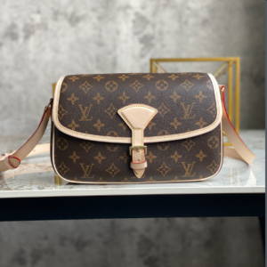 Louis Vuitton Medium HandBag – Skin